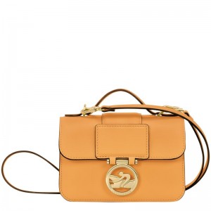 Bolsas Hombro Longchamp Box-Trot XS Mujer Albaricoque Naranjas | TLEN-12980