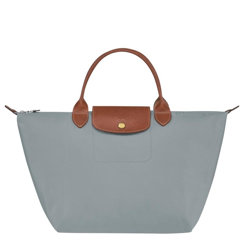 Bolsa de Mano Longchamp Le Pliage Original M Mujer Grises | WRCY-75219