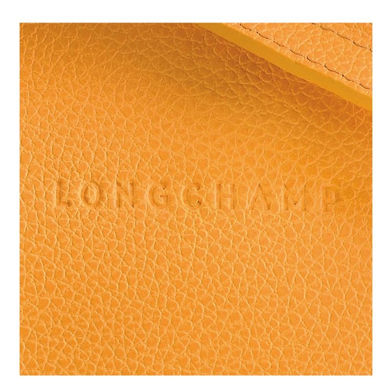 Bolsas Hombro Longchamp Le Foulonné S Mujer Albaricoque Naranjas | AGKP-63450