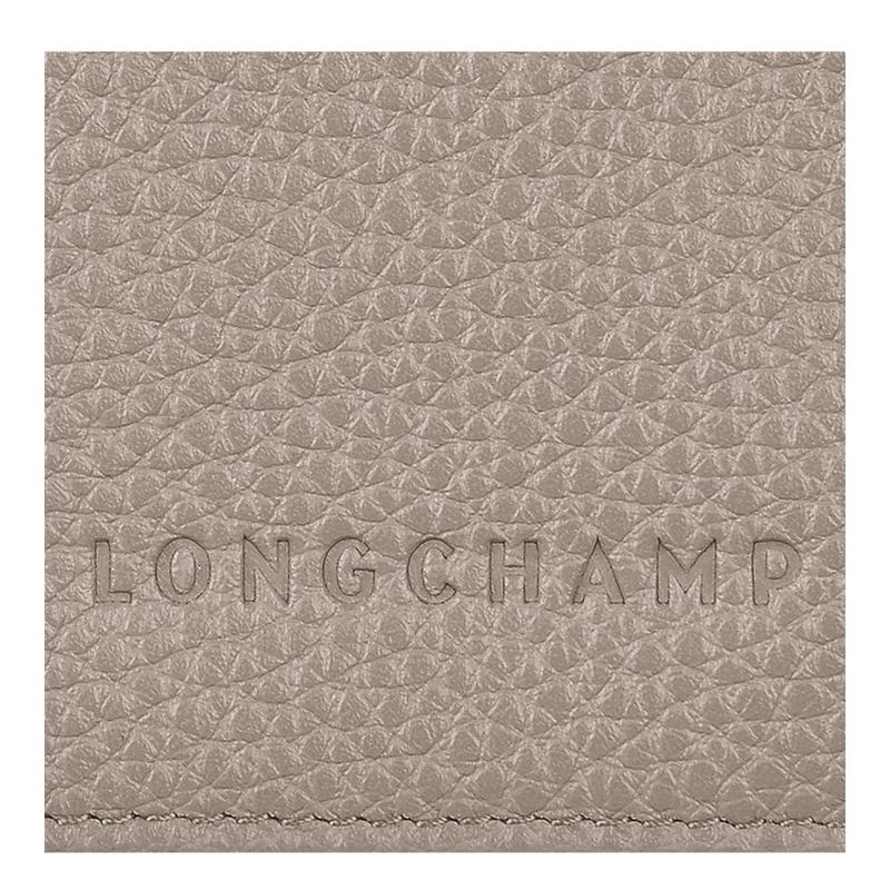 Bolsas de Viaje Longchamp Le Foulonné Passport cover Mujer Grises | DMPJ-39856