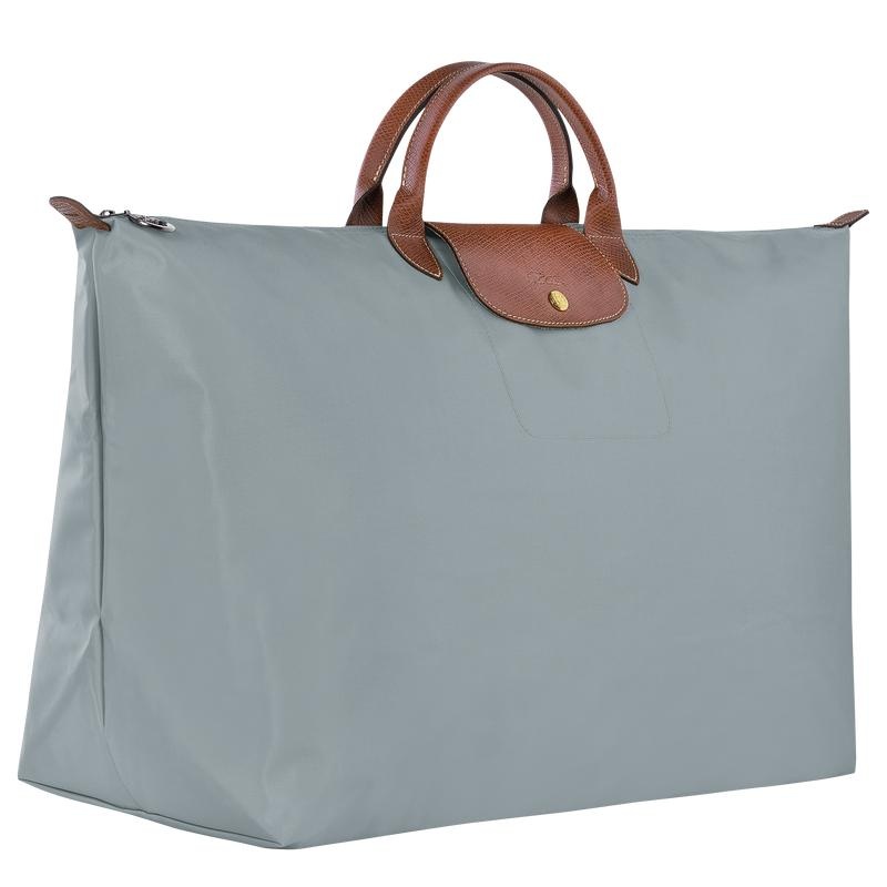 Bolsas de Viaje Longchamp Le Pliage Original M Mujer Grises | RNTS-09235