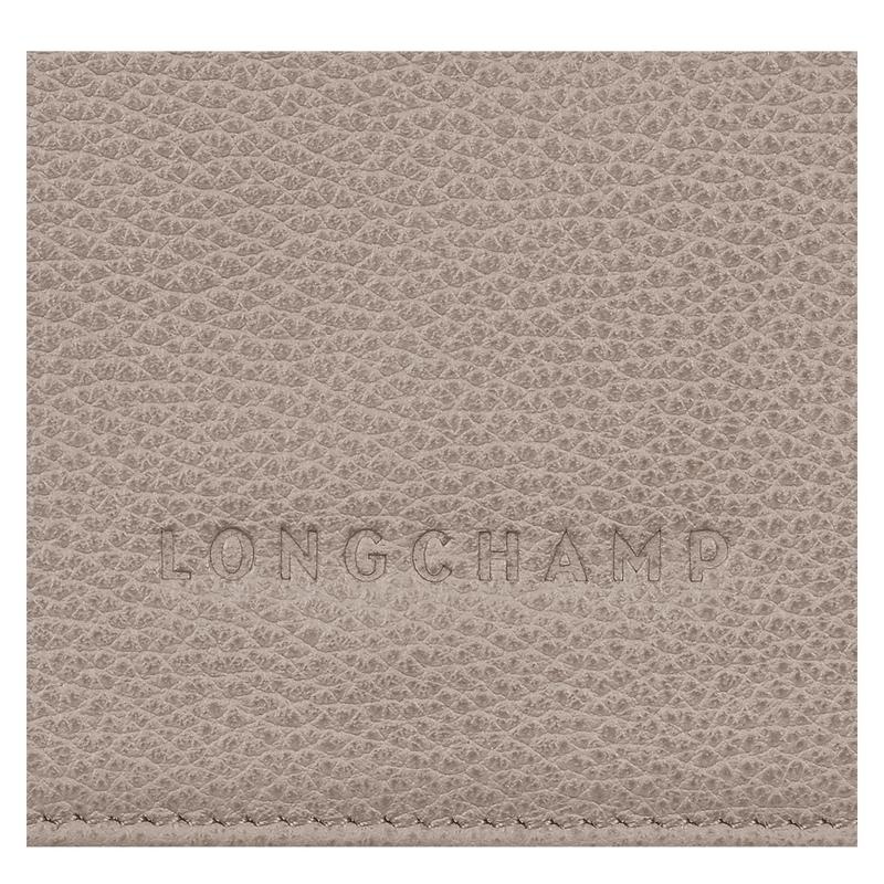 Carteras Longchamp Le Foulonné Mujer Grises | XLGO-81075