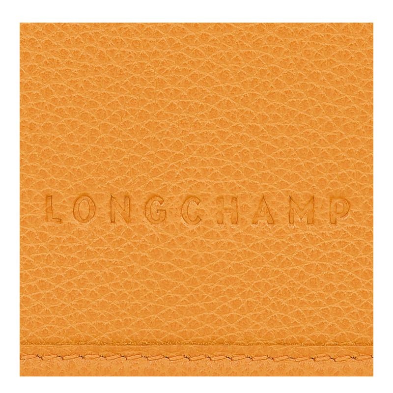 Clutch Longchamp Le Foulonné XS Mujer Albaricoque Naranjas | NSKE-25037